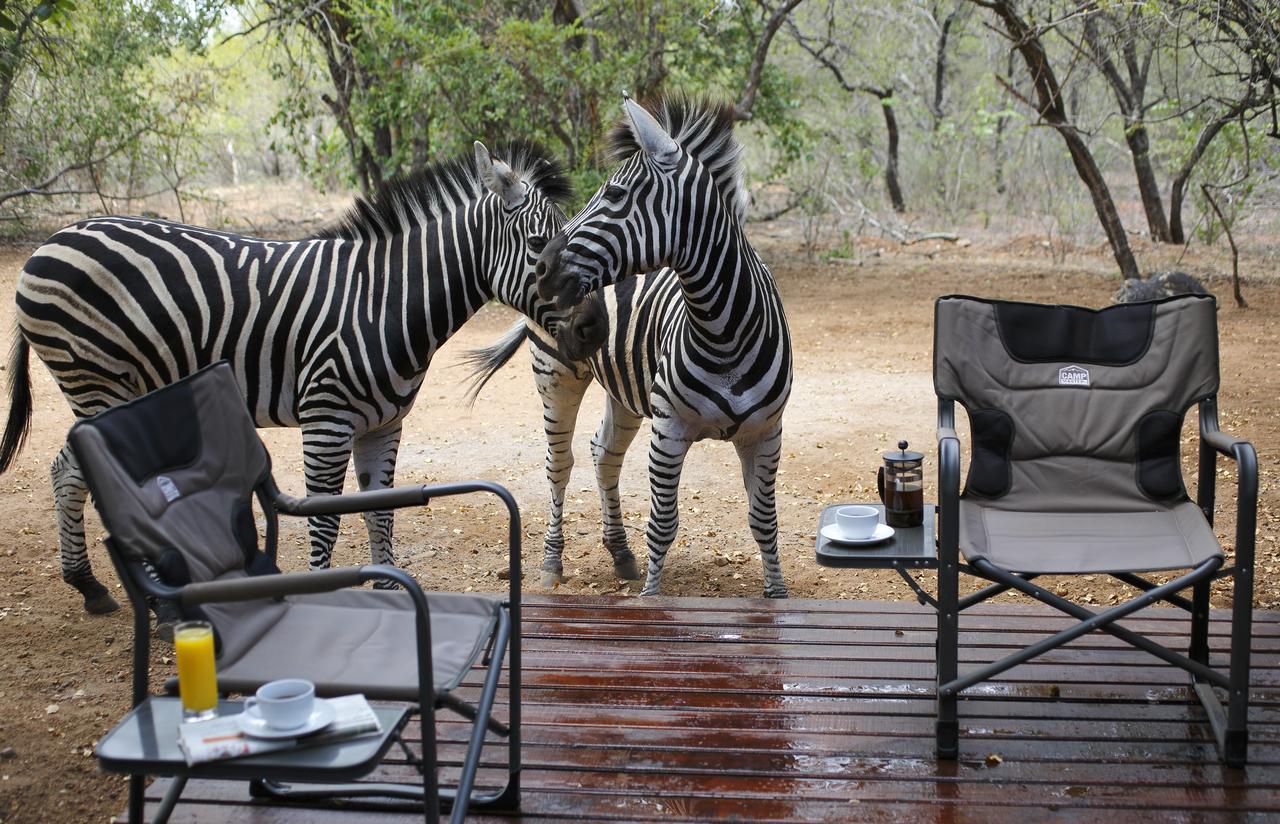 Tusk Bush Lodge Marloth Park Exterior foto