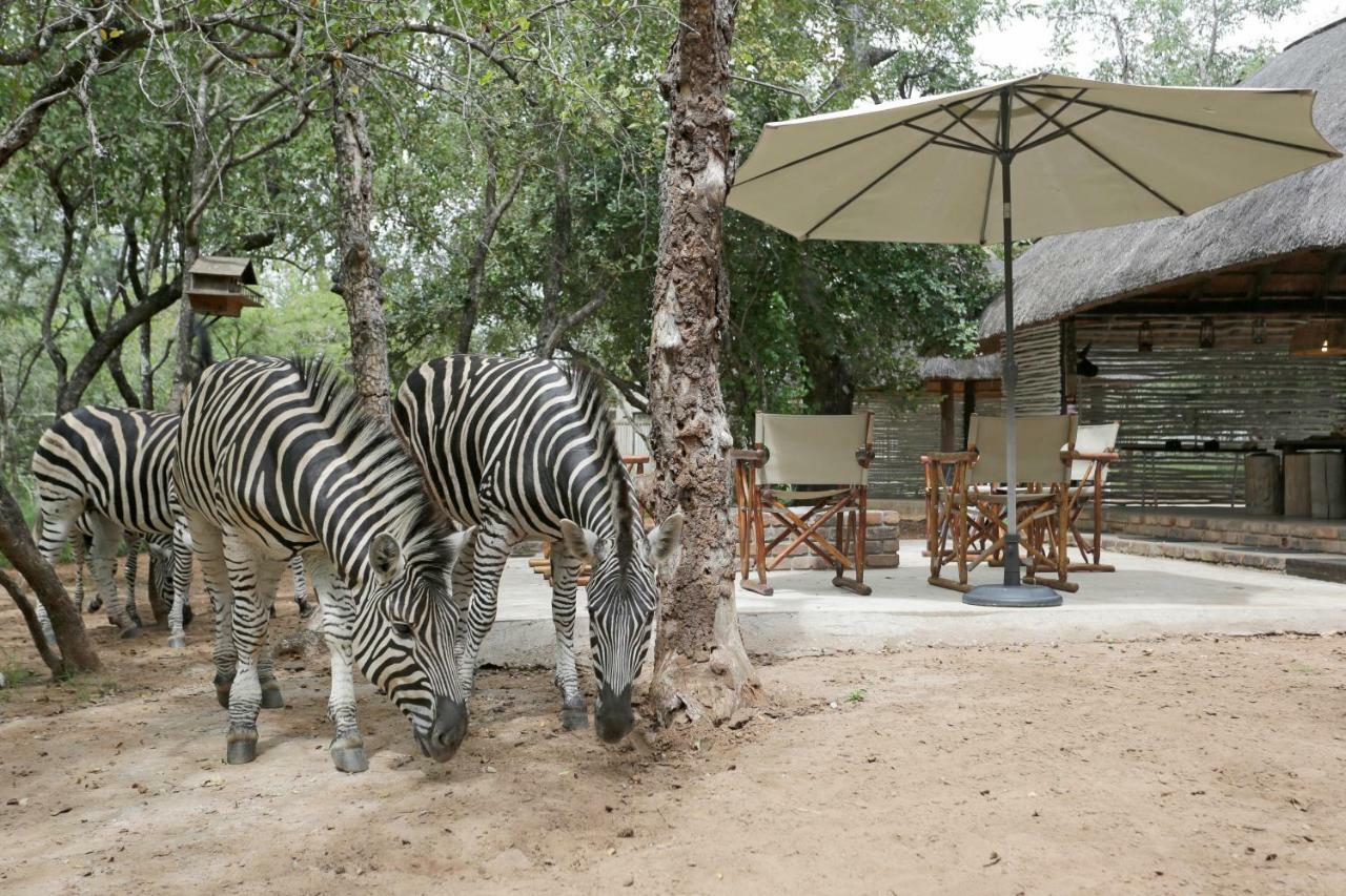 Tusk Bush Lodge Marloth Park Exterior foto