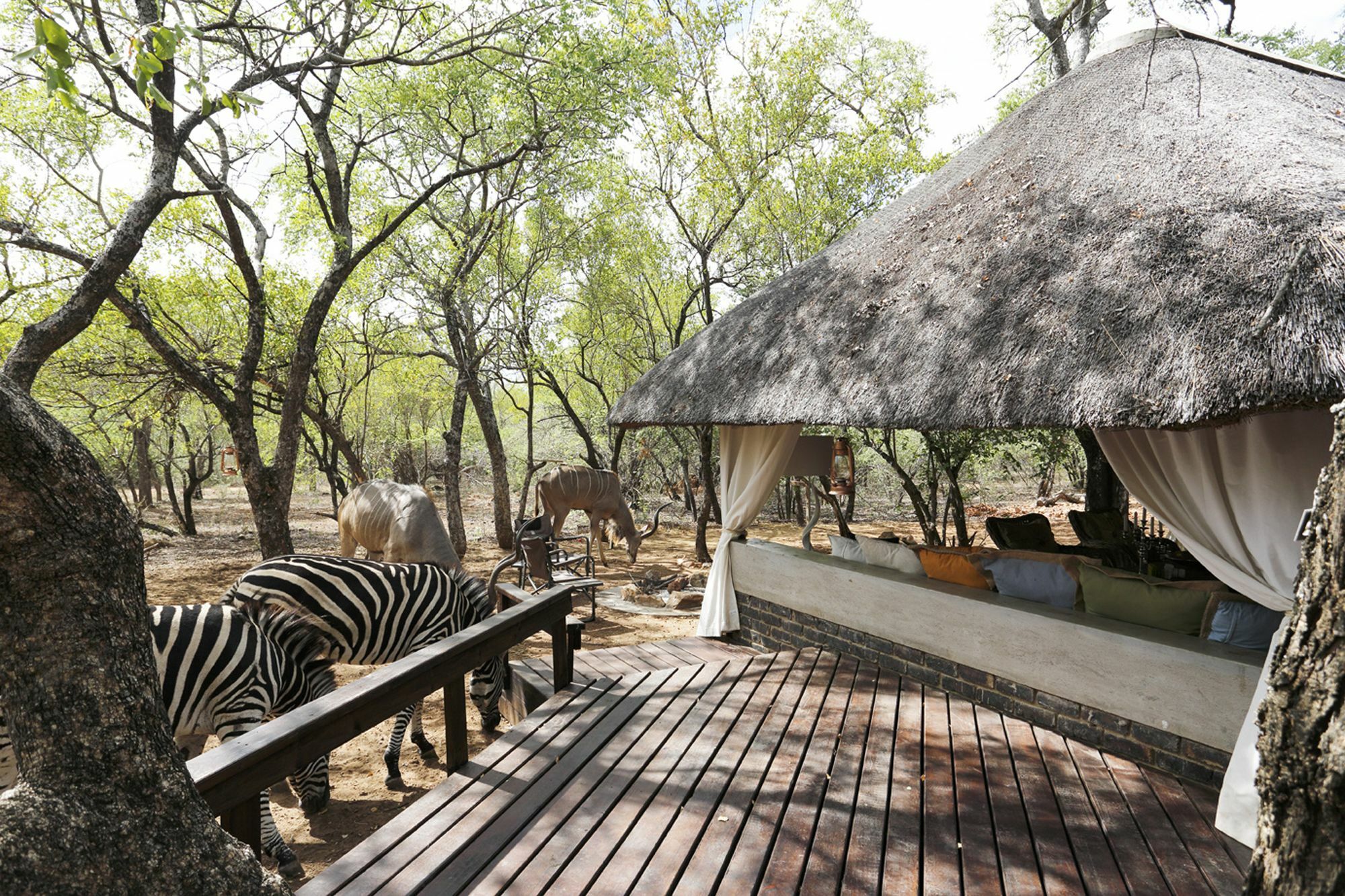 Tusk Bush Lodge Marloth Park Exterior foto