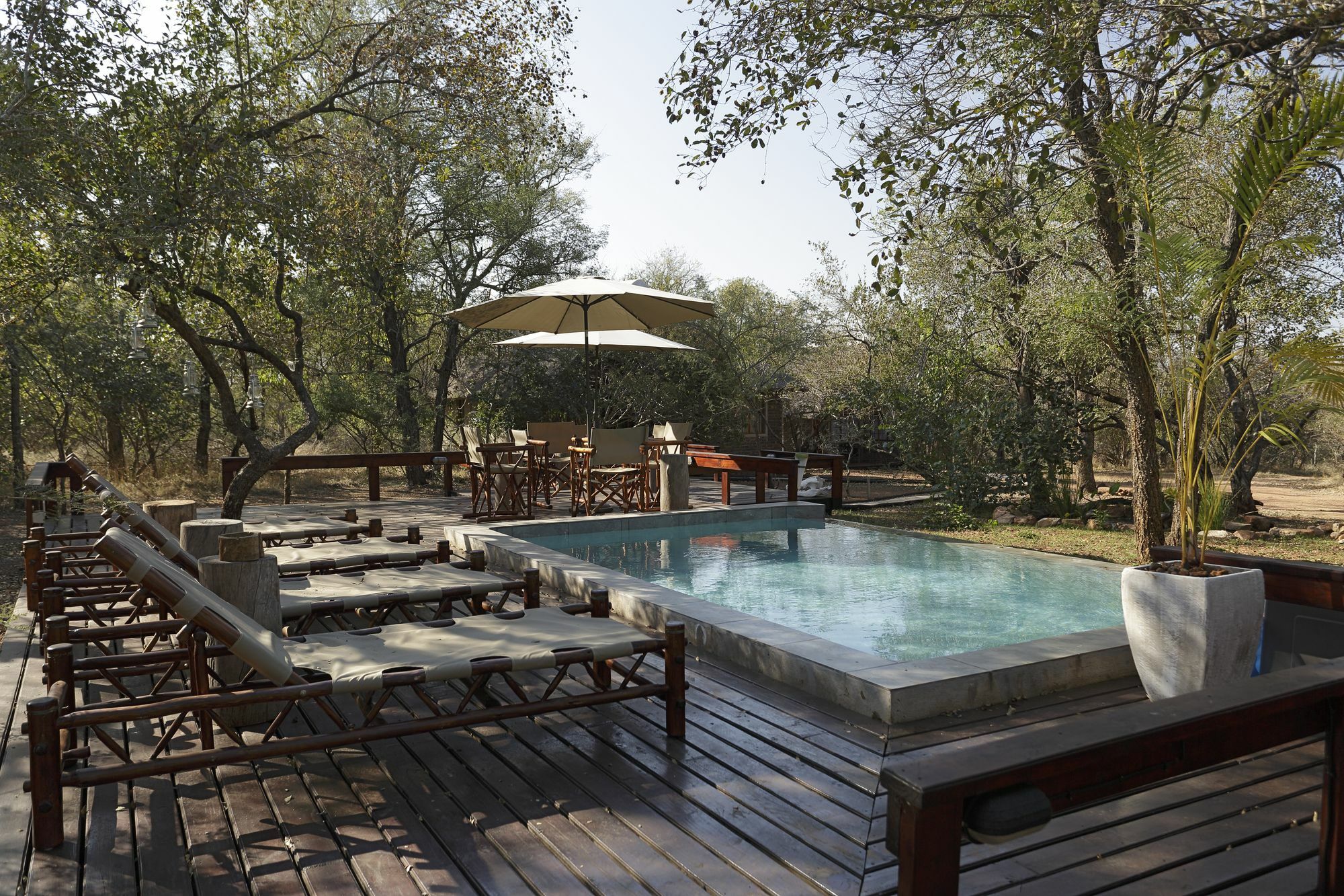 Tusk Bush Lodge Marloth Park Exterior foto