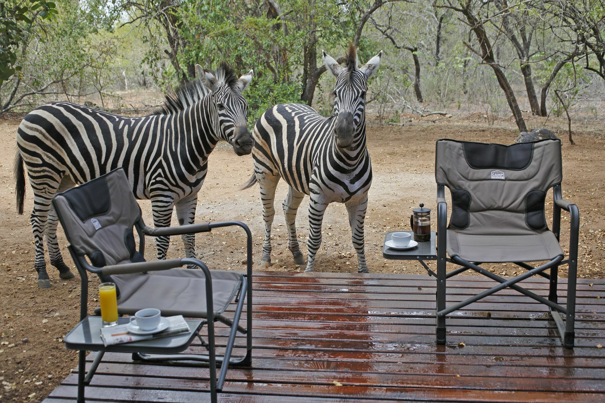 Tusk Bush Lodge Marloth Park Exterior foto