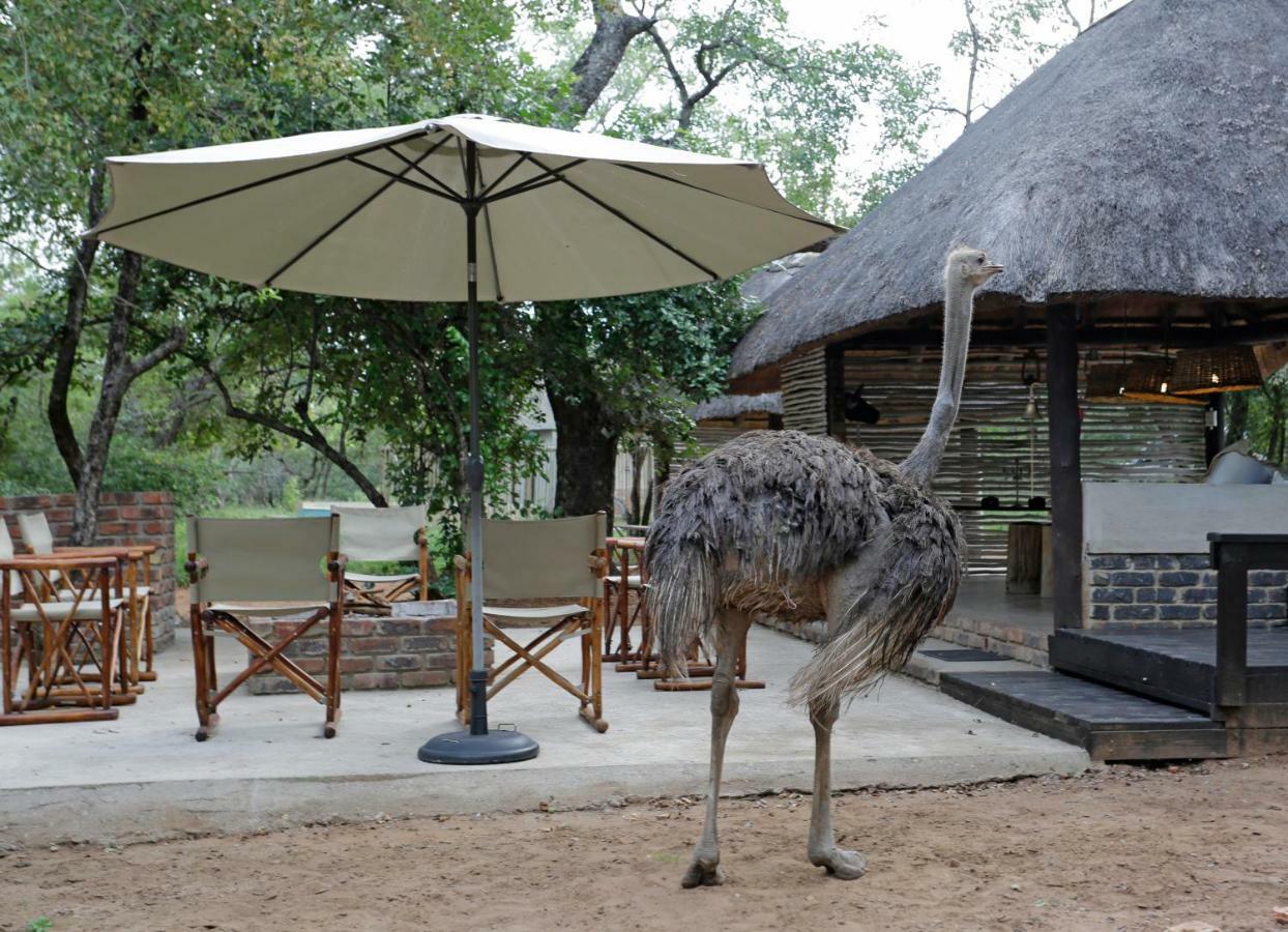 Tusk Bush Lodge Marloth Park Exterior foto