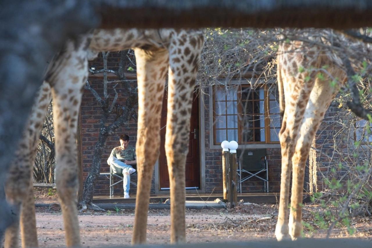 Tusk Bush Lodge Marloth Park Exterior foto